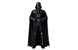 ani